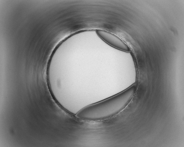 X0000116571189201001071149