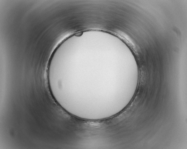 X0000116571190201001071149