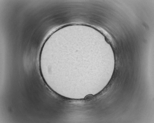 X0000116571191201001071149