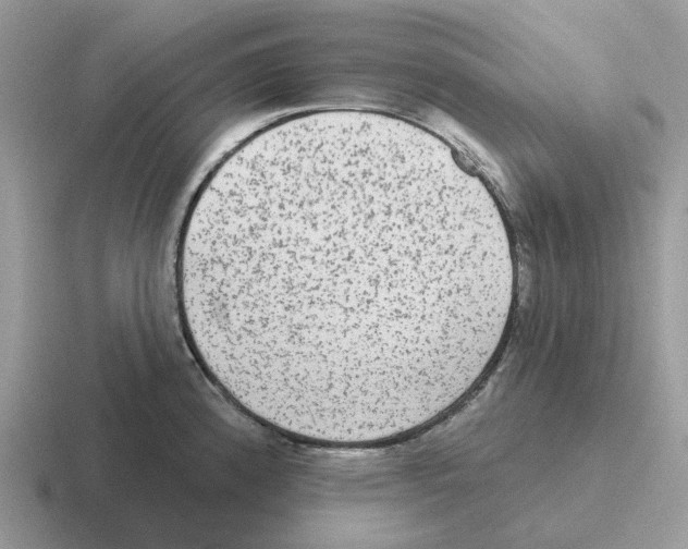 X0000116571192201001071149