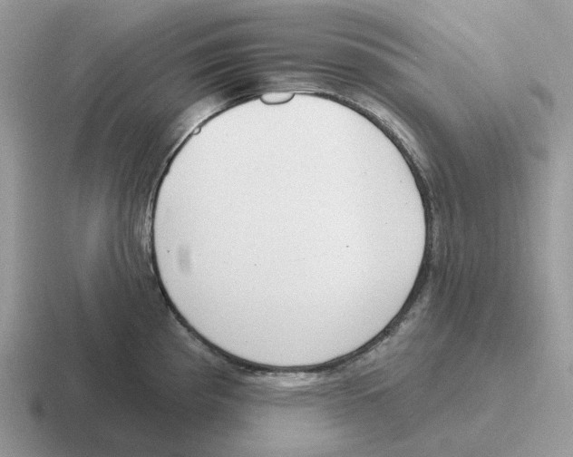 X0000116571193201001071148