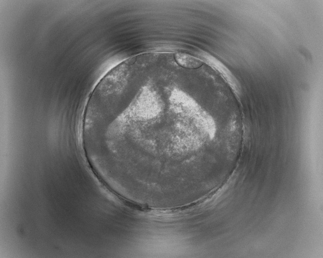 X0000116571194201001071148