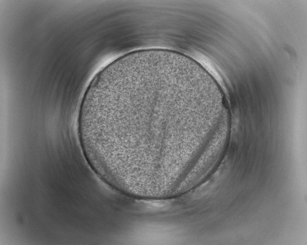 X0000116571197201001071148