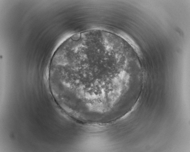 X0000116571198201001071148