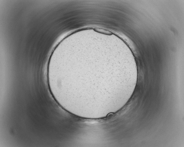 X0000116571199201001071148