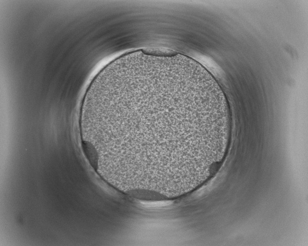 X0000116571200201001071148