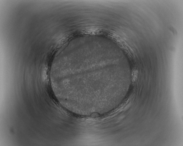 X0000116571202201001071148