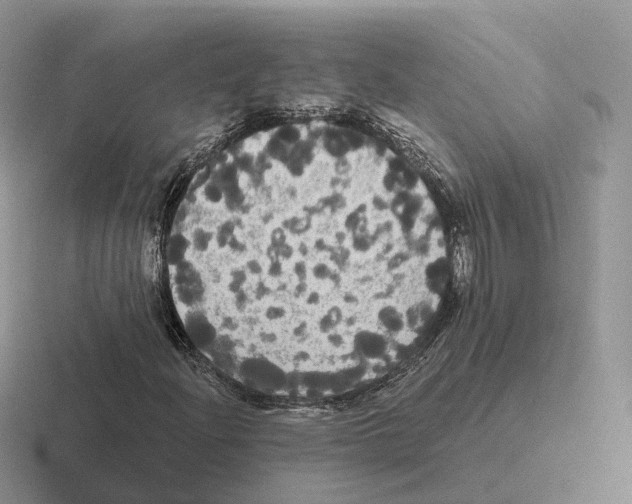 X0000116571204201001071148