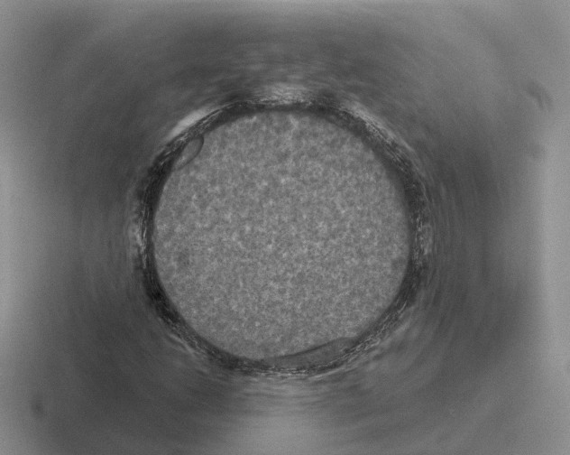 X0000116571206201001071148