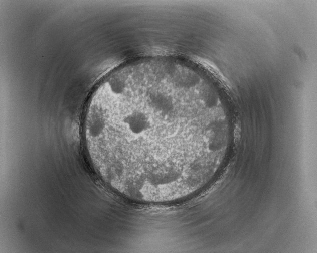 X0000116571209201001071148