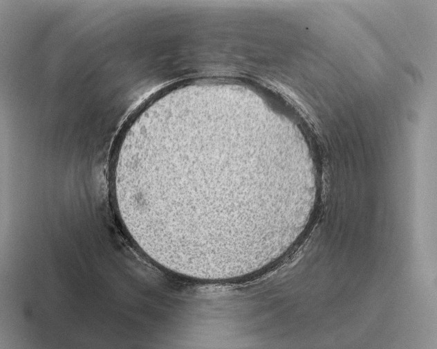 X0000116571212201001071148