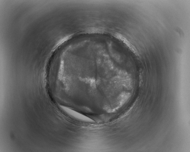 X0000116571213201001071148