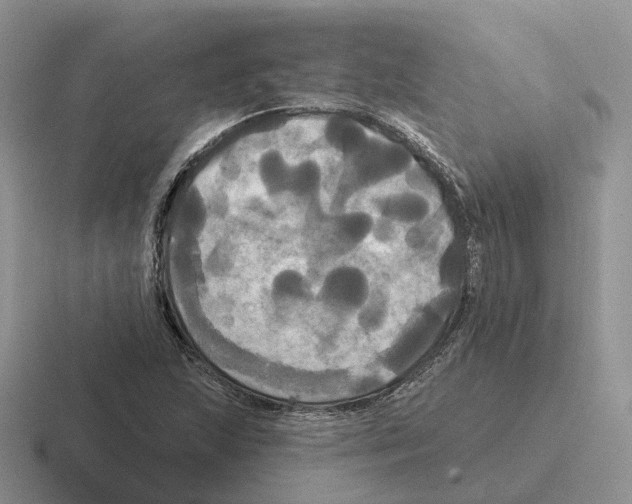 X0000116571215201001071148