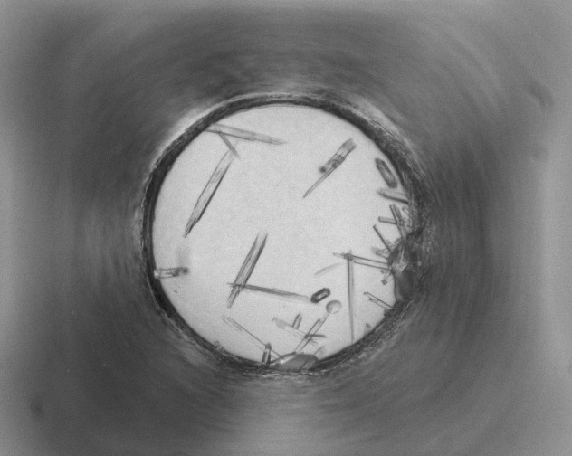 X0000116571216201001071148