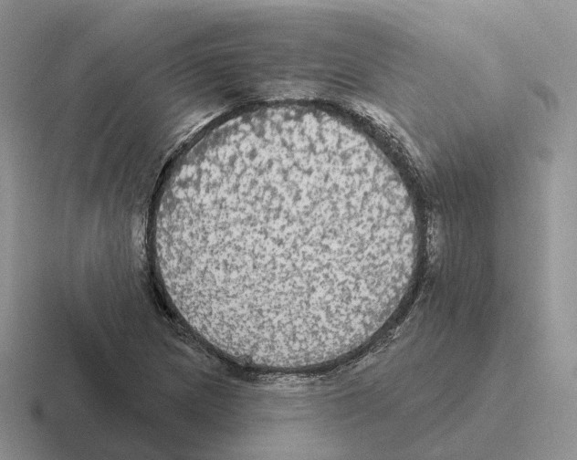 X0000116571217201001071148