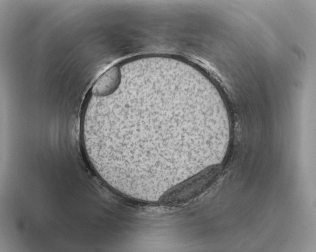 X0000116571220201001071148