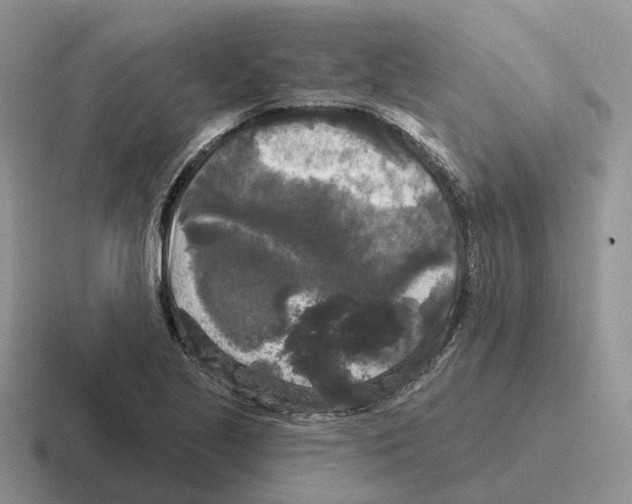 X0000116571221201001071148