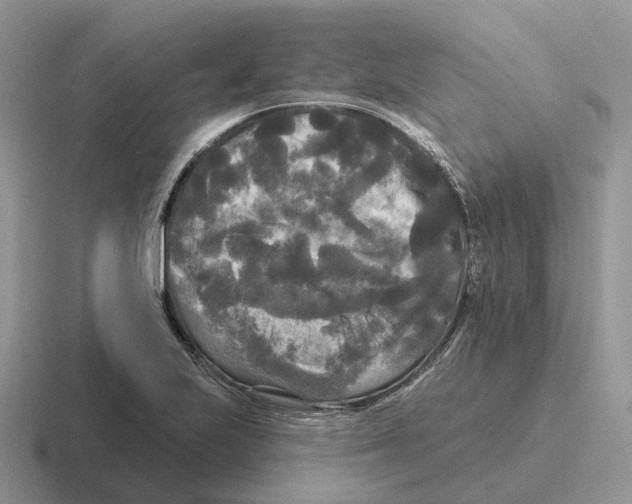 X0000116571223201001071148