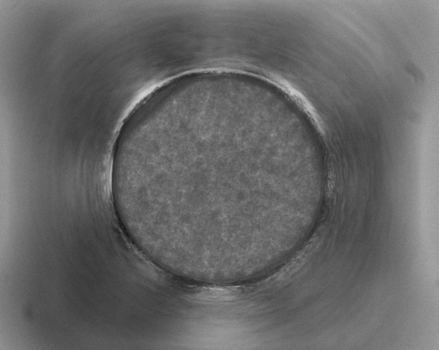 X0000116571224201001071148