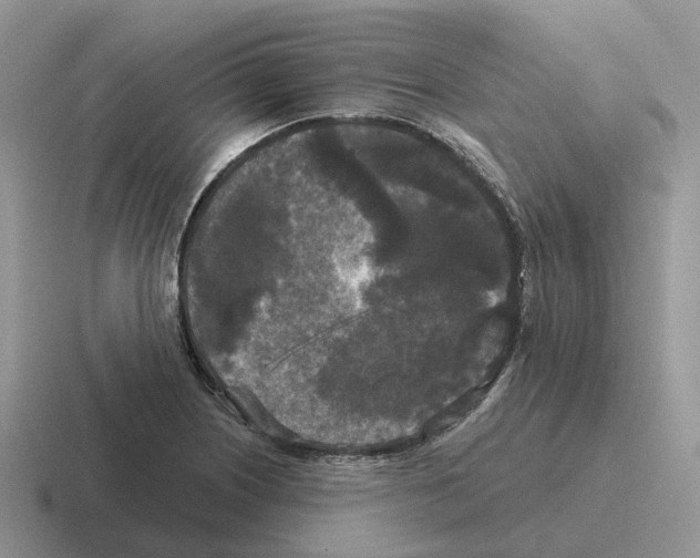 X0000116571226201001071148