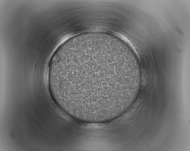 X0000116571227201001071148