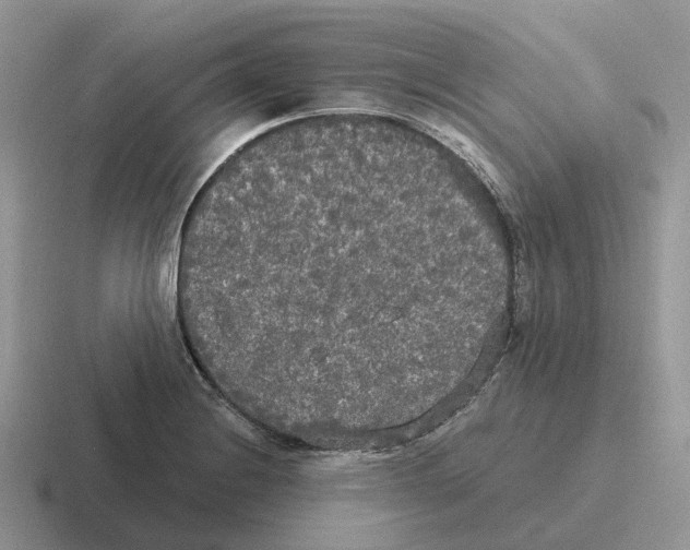 X0000116571228201001071148