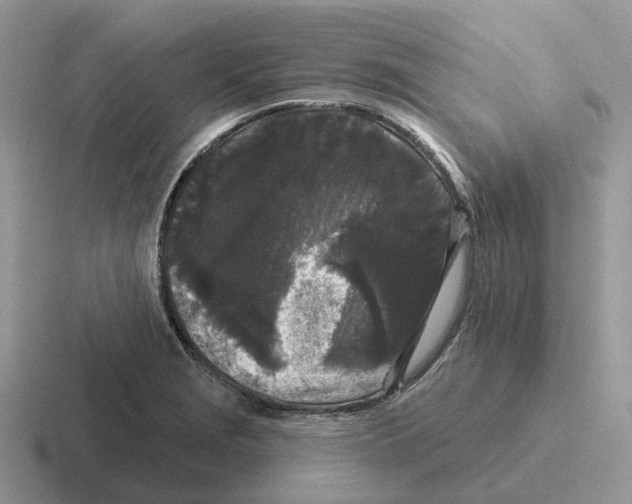 X0000116571229201001071148