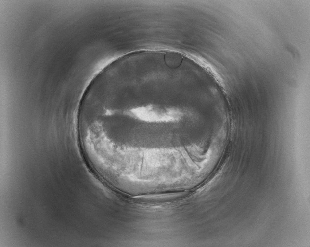 X0000116571231201001071148