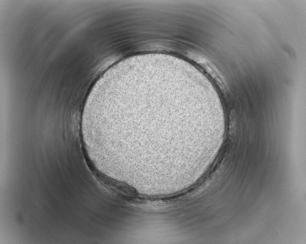 X0000116571233201001071148