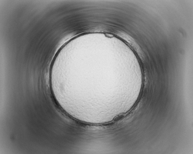 X0000116571234201001071148