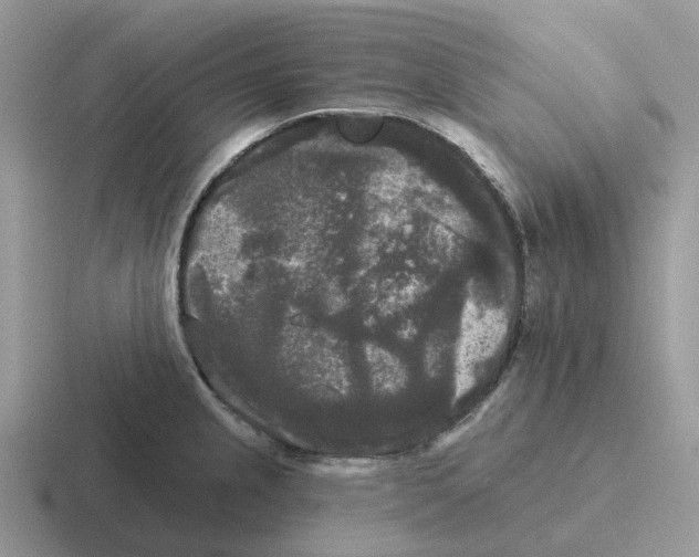 X0000116571237201001071148