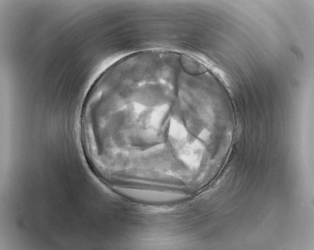 X0000116571239201001071148