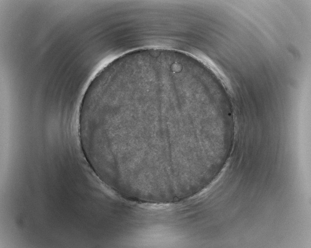 X0000116571240201001071148