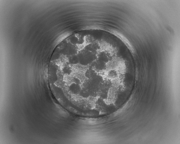 X0000116571241201001071148