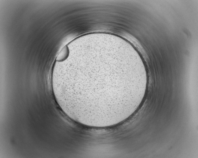 X0000116571242201001071148