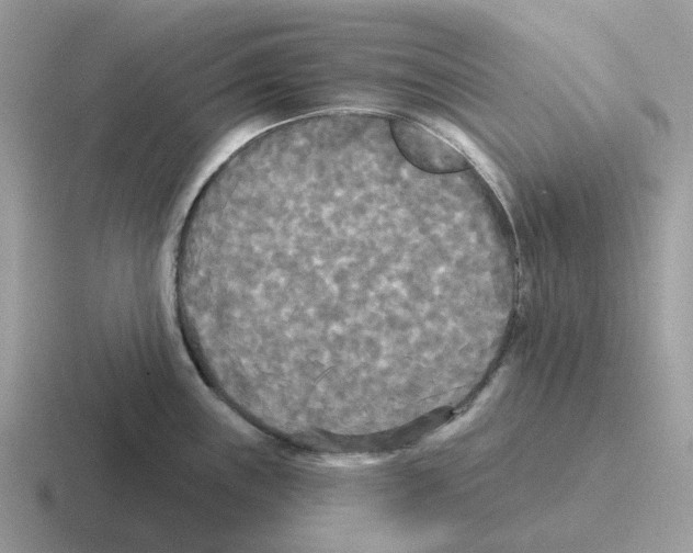 X0000116571243201001071148