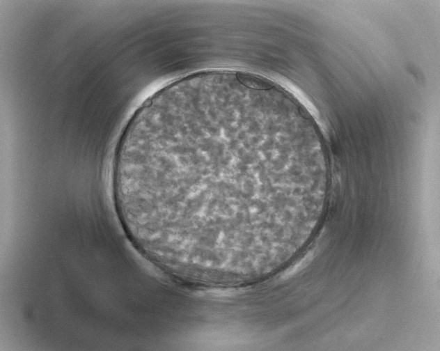 X0000116571245201001071148