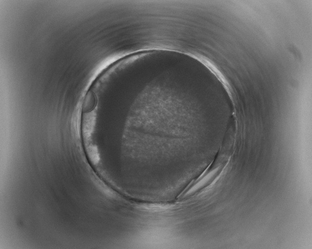 X0000116571246201001071148