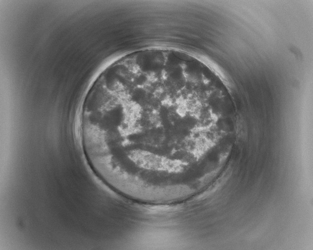 X0000116571247201001071148