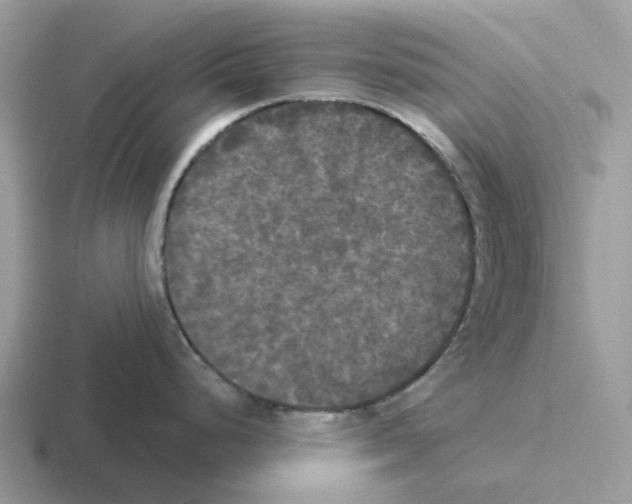 X0000116571248201001071148