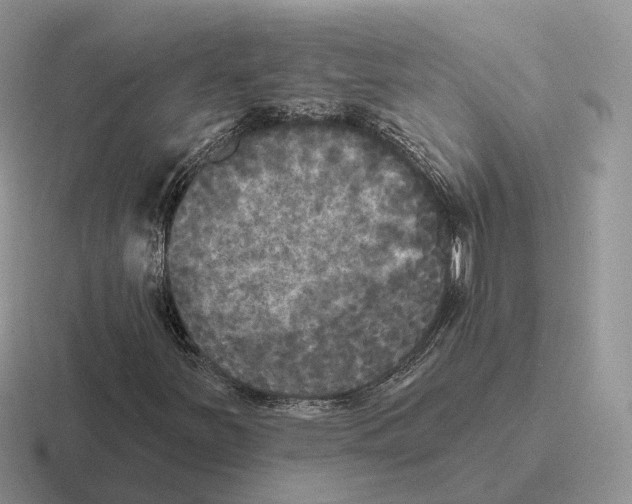 X0000116571251201001071148