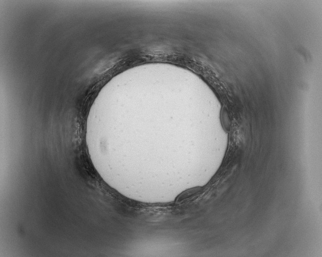 X0000116571253201001071148