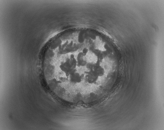 X0000116571255201001071148