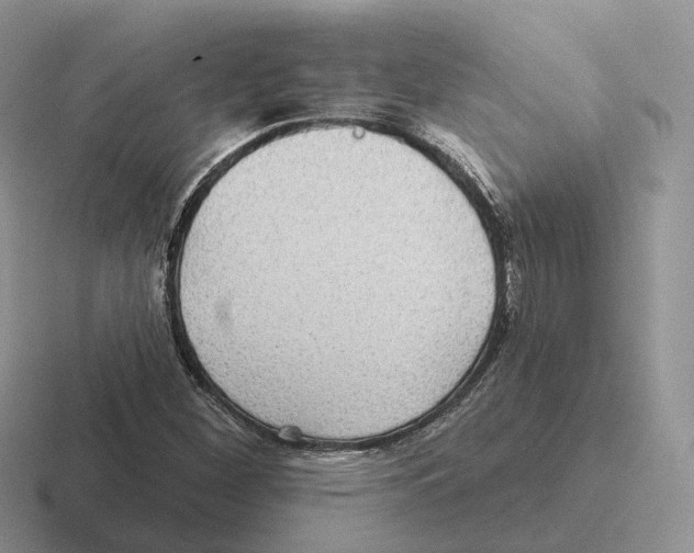 X0000116571260201001071148