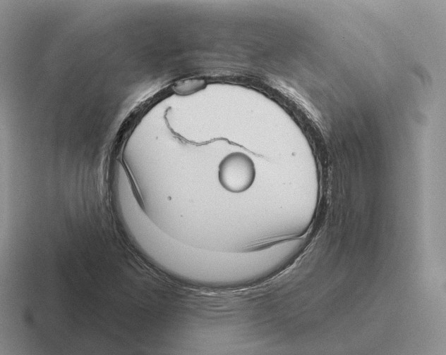 X0000116571261201001071148