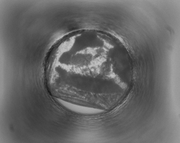 X0000116571263201001071148