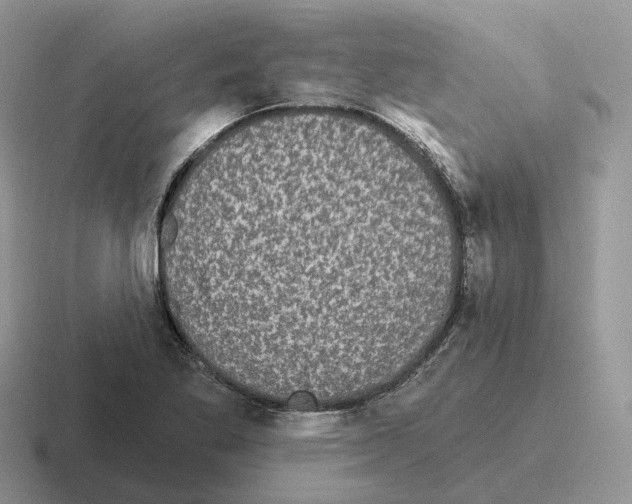 X0000116571269201001071148