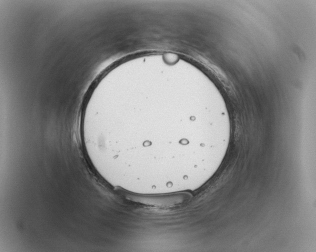 X0000116571272201001071147