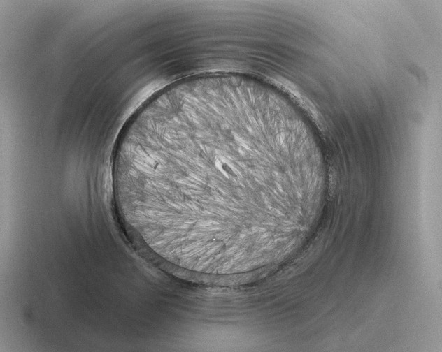 X0000116571274201001071147