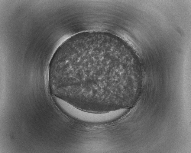 X0000116571275201001071147